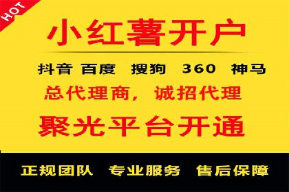 深入了解SEM代运营服务公司的技术实力